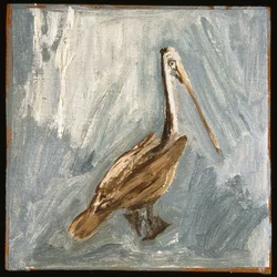 Pelikan