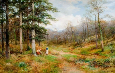 Auf dem Long Mynd, Church Stretton, 1907