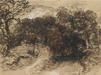 Ein hohler Weg in der Nähe von Harborne, Derbyshire (schwarze Kreide mit weißen Akzenten und etwas brauner Waschung)