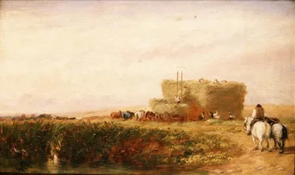 Das Heufeld