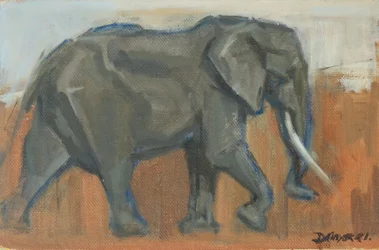 Bullenelefant, 2019