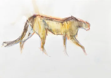 Gepard