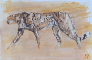 Gepard, 2022
