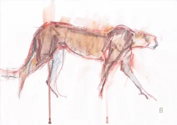 Gepardenjagd, 2019
