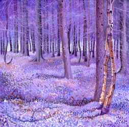 Lila Wald 2, 2012