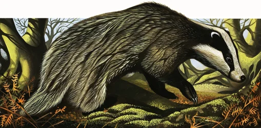 Herr und Frau Dachs zu Hause