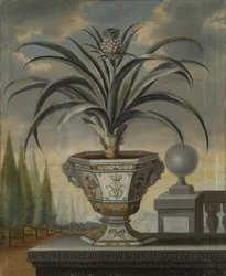 Ananaspflanze, 1729