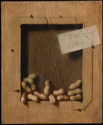 Kostenloses Muster / Probieren Sie eins