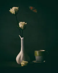 Elegante Rosen und Schmetterling