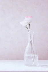 Blumen in Liebe