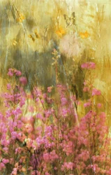 Goldene Wiesen-Schmetterlinge