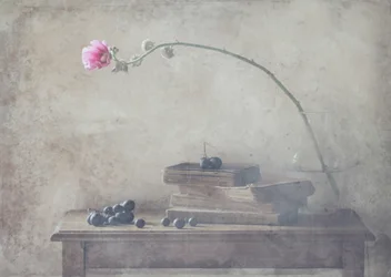 Vintage Bücher und Blüte