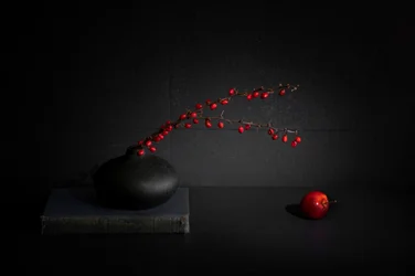 Stillleben mit roten Beeren und schwarzer Vase