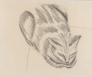 Schlafende Katze