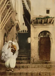 Straße der Kamele, Algier, ca. 1899 (Photochrom)