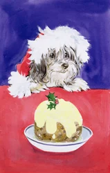 Der Weihnachtskuchen