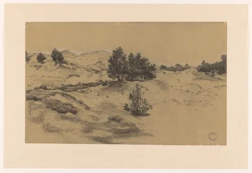 Dünenlandschaft