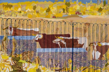 Durstige Longhorns, heißer Sommer