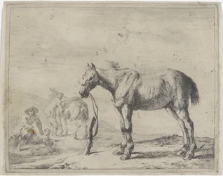 An einen Pfahl gebundenes Pferd nach links