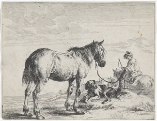 Pferd an einem Pfahl gebunden, Pferde (Serientitel)