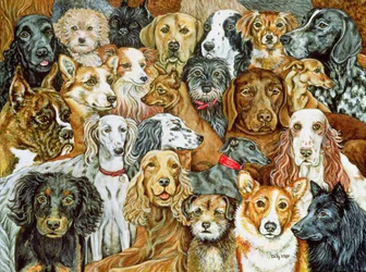 Hundeverbreitung, 1989