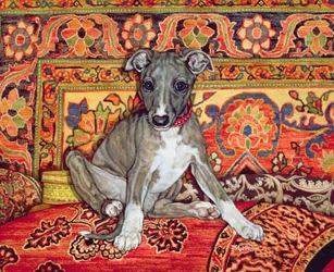Mein Whippet-Baby, 1994