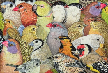 Patchwork-Vögel, 1995