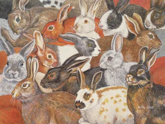 Kaninchen-Verbreitung