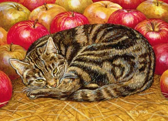 Rechte-Hand Apfel-Katze, 1995