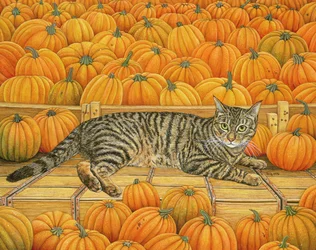 Der Kürbis-Katze, 1995