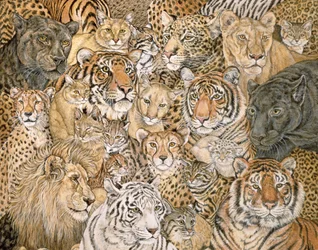 Wildkatze-Ausbreitung, 1992