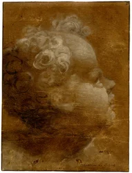 Kopf eines Kindes, das nach oben schaut, im Profil nach rechts, Pinselzeichnung in graubraun und weiß, 1528