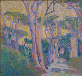 Pinienwald in Portofino, ca. 1920