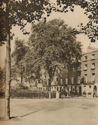 In Boarding-House Land: Die Platanen des Torrington Square, ca. 1935