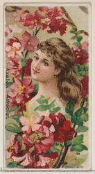 Azalee: Anziehung, aus der Serie Blumenschönheiten und Blumensprache N75 für Duke, 1892