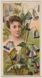 Canterbury Bells: Beständigkeit, aus der Serie Floral Beauties and Language of Flowers N75..., 1892