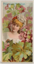 Primel: Flirtation, aus der Serie Floral Beauties and Language of Flowers N75 für Du..., 1892