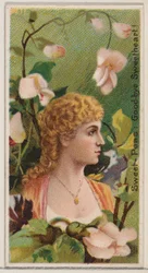 Wicken: Lebewohl, Liebling!, aus der Serie Blumenpracht und Blumensprache...