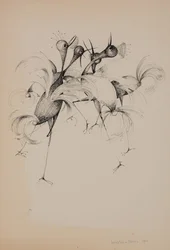 Vögel