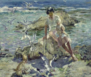 Die Möwen