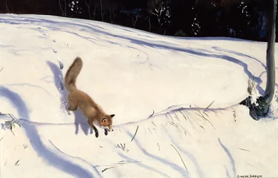 Fuchs springt von einer verschneiten Böschung