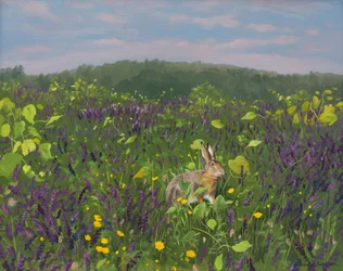 Hase in Reben und Wicke 2000