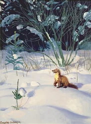 Baummarder im Schnee