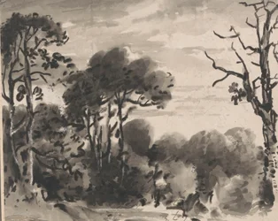 Komposition: Der Waldrand