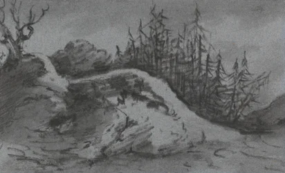 Komposition aus Felsen und Kiefern