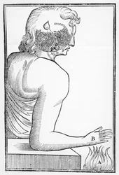 Illustration der Wirkungsweise und des Effekts der Zirbeldrüse auf das menschliche Nervensystem in Bezug auf eine Reaktion auf Feuer, aus Tractatus de Homine, veröffentlicht in Amsterdam von Elsevier, 1677