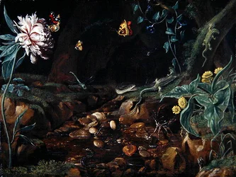 Bach in einer Schlucht mit Blumen und Reptilien