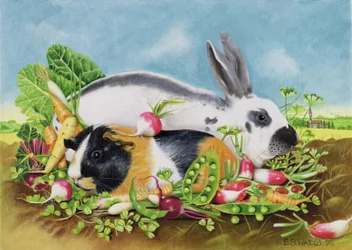 Kaninchen und Meerschweinchen, 1998