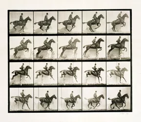 Mann und Pferd springen über einen Zaun, 1887