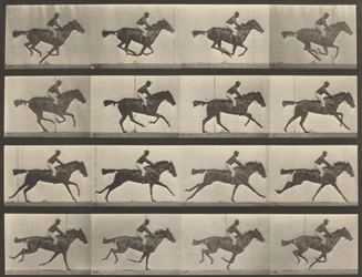 Platte Nummer 626. Galopp, Vollblut-Braune Stute, Annie G., 1887